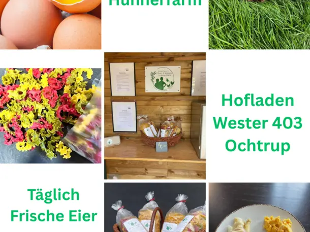 Theo und Henris Hühnerfarm - Hofladen Wester 403 - Ochtrup